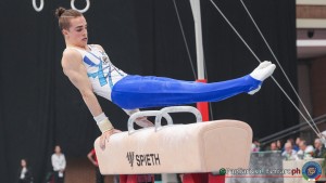 serie b lpg00585 ph pagliaricci ferraro